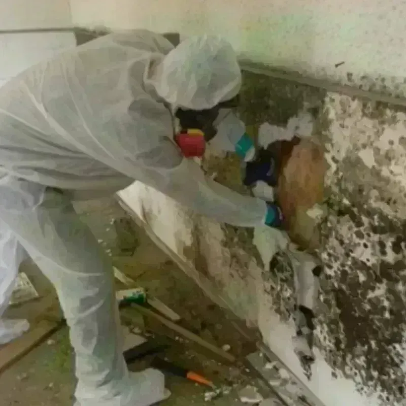 Mold Remediation and Removal in Livingston County, KY